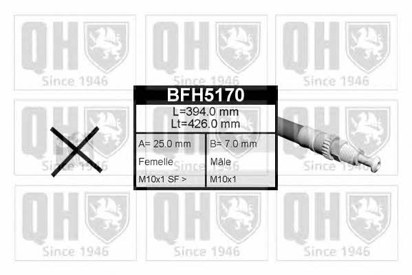 Quinton Hazell BFH5170 Brake Hose BFH5170