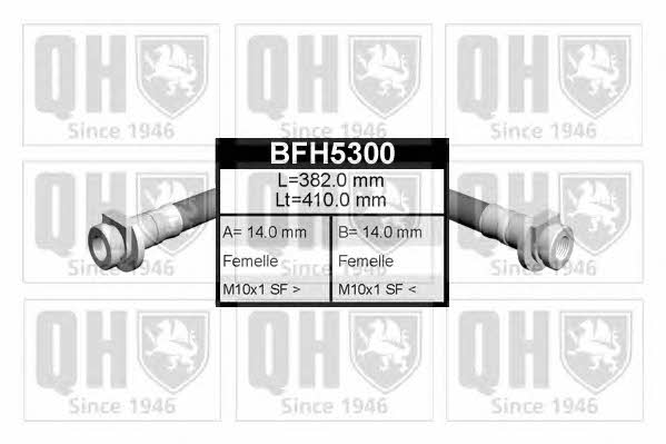 Quinton Hazell BFH5300 Brake Hose BFH5300