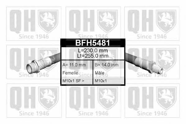 Quinton Hazell BFH5481 Brake Hose BFH5481
