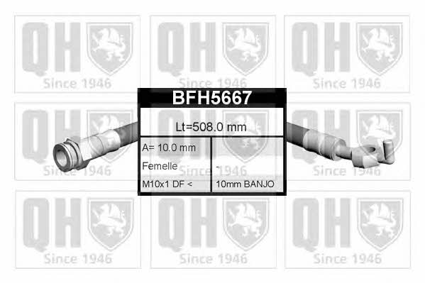 Quinton Hazell BFH5667 Brake Hose BFH5667