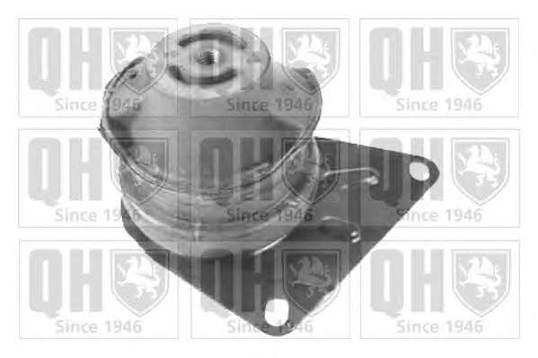 Quinton Hazell EM4198 Engine mount EM4198