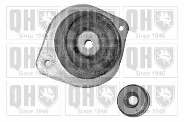 Quinton Hazell EMA2284 Strut bearing with bearing kit EMA2284