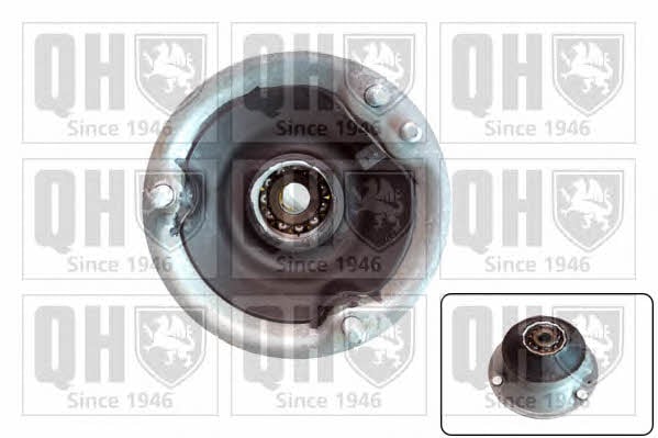 Quinton Hazell EMA5029 Strut bearing with bearing kit EMA5029