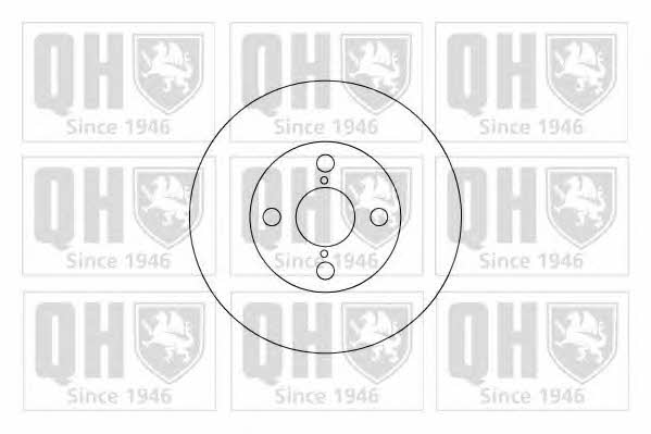 Quinton Hazell BDC4917 Rear brake disc, non-ventilated BDC4917