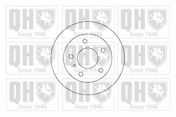 Quinton Hazell BDC5173 Rear brake disc, non-ventilated BDC5173