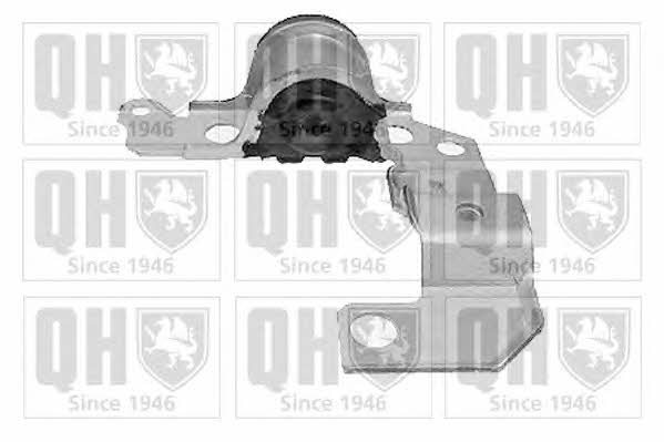 Quinton Hazell EMS8037 Control Arm-/Trailing Arm Bush EMS8037