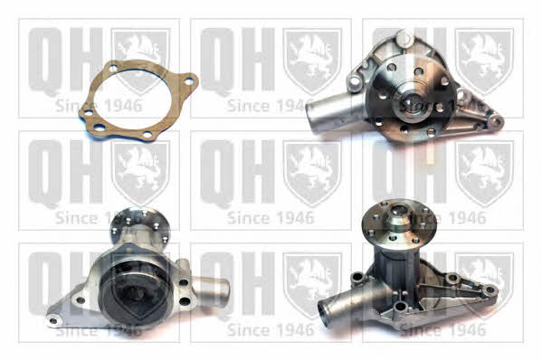 Quinton Hazell QCP556 Water pump QCP556