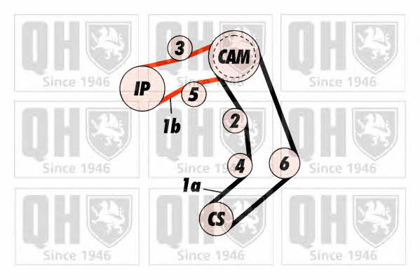  QBK443 Timing Belt Kit QBK443