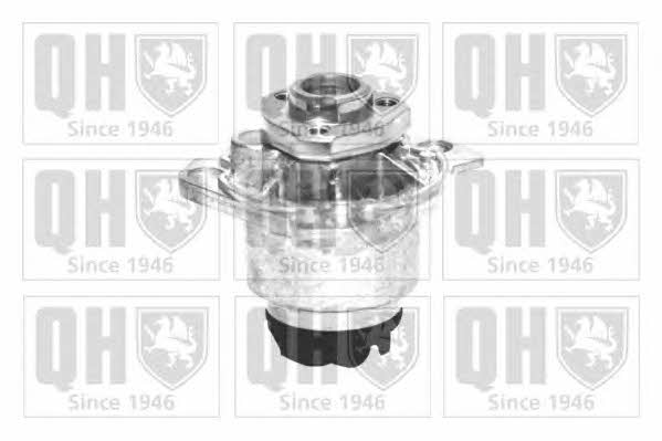 Quinton Hazell QCP3369 Water pump QCP3369