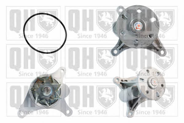 Quinton Hazell QCP3666 Water pump QCP3666