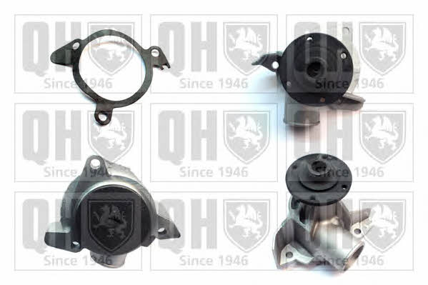 Quinton Hazell QCP1375 Water pump QCP1375