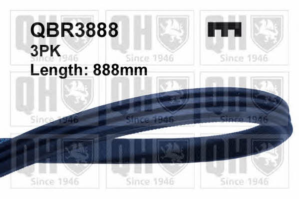 Quinton Hazell QBR3888 V-ribbed belt 3PK888 QBR3888