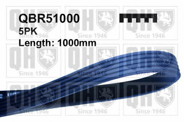 Quinton Hazell QBR51000 V-ribbed belt 5PK1000 QBR51000