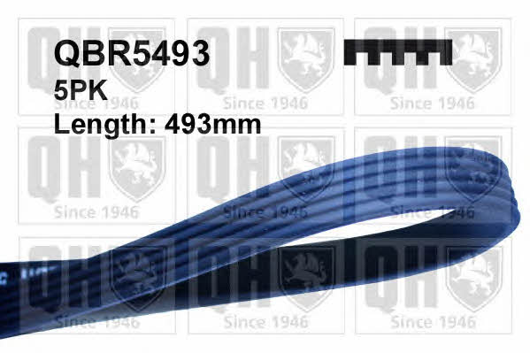 Quinton Hazell QBR5493 V-ribbed belt 5PK493 QBR5493