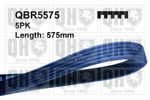 Quinton Hazell QBR5575 V-ribbed belt 5PK575 QBR5575