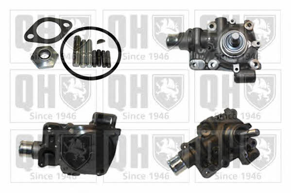 Quinton Hazell QCP3806 Water pump QCP3806