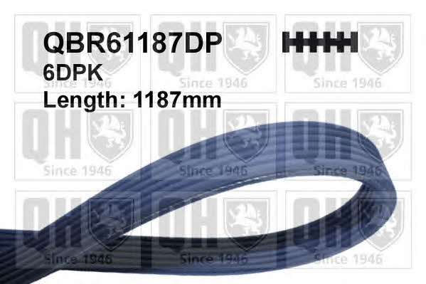 Quinton Hazell QBR61187DP V-ribbed belt 6PK1187 QBR61187DP