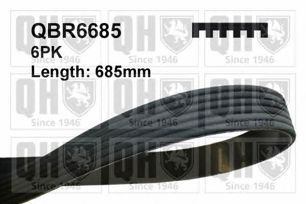 Quinton Hazell QBR6685 V-ribbed belt 6PK685 QBR6685