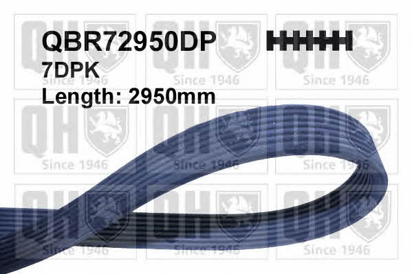 Quinton Hazell QBR72950DP V-ribbed belt 7PK2950 QBR72950DP