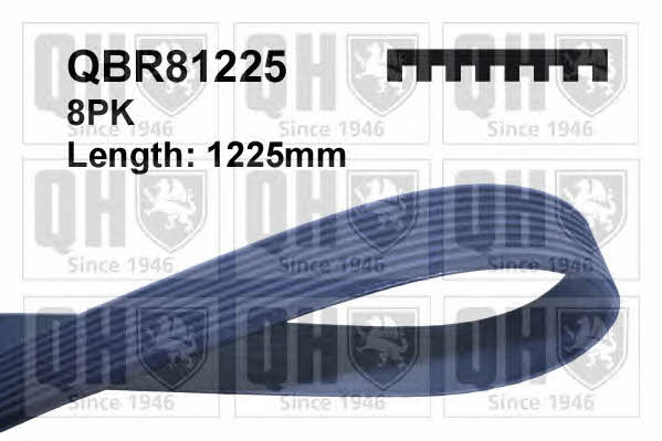 Quinton Hazell QBR81225 V-ribbed belt 8PK1225 QBR81225
