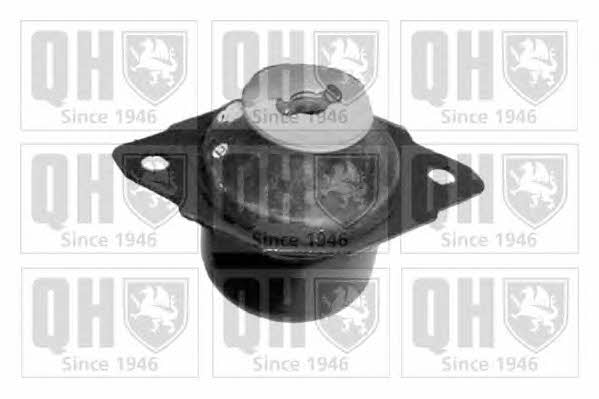 Quinton Hazell EM1828 Gearbox mount left EM1828