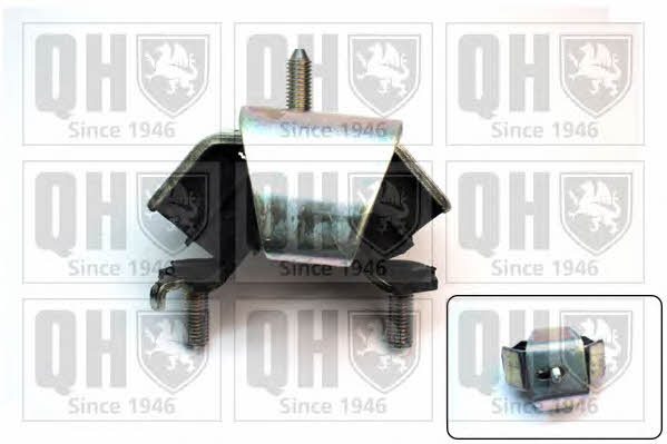 Quinton Hazell EM2174 Engine mount EM2174