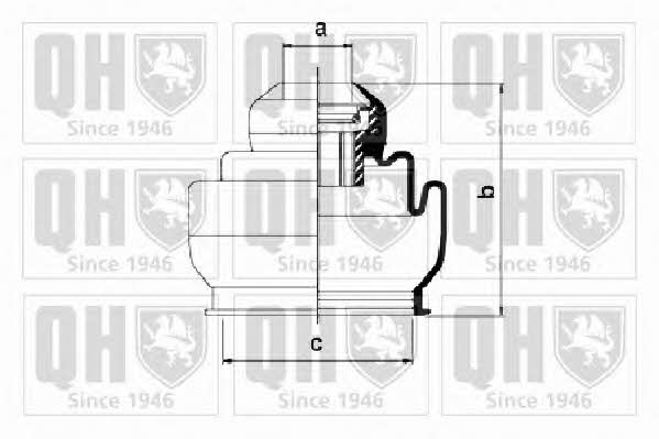 Quinton Hazell QJB2711 Bellow, driveshaft QJB2711