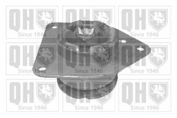Quinton Hazell EM3138 Gearbox mount EM3138