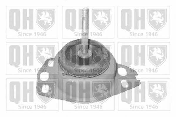 Quinton Hazell EM3143 Engine mount EM3143