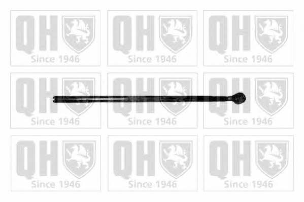 Quinton Hazell QR5007S Draft steering with a tip left, a set QR5007S