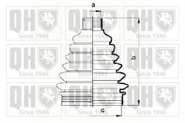 Quinton Hazell QJB843 Bellow, driveshaft QJB843