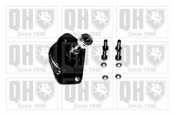 Quinton Hazell QSJ813S Ball joint QSJ813S