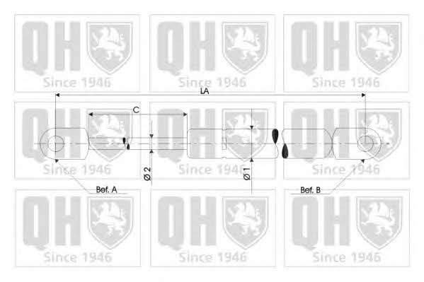 Tailgate strut Quinton Hazell QTS128436