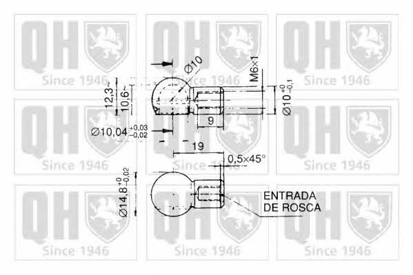 Quinton Hazell QTS840046 Gas Spring, boot-/cargo area QTS840046