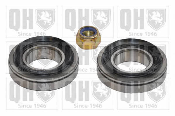 Quinton Hazell QWB313 Wheel bearing kit QWB313