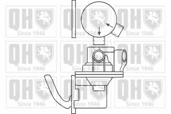 Quinton Hazell QFP118 Fuel pump QFP118