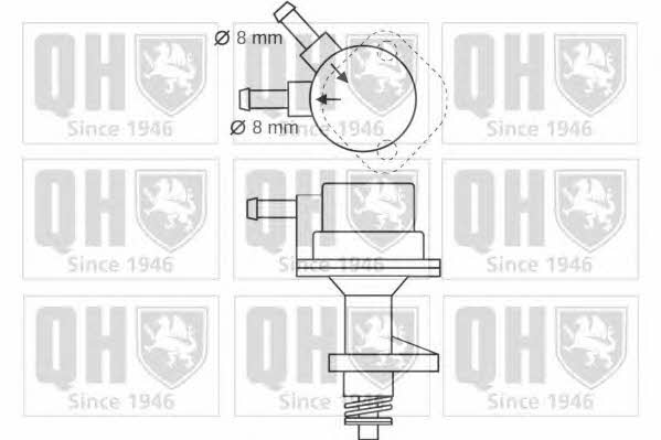 Quinton Hazell QFP133 Fuel pump QFP133