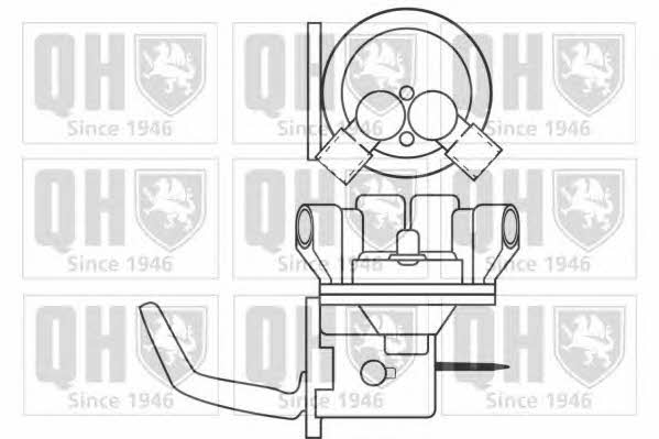 Quinton Hazell QFP135 Fuel pump QFP135