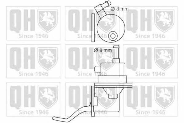 Quinton Hazell QFP139 Fuel pump QFP139