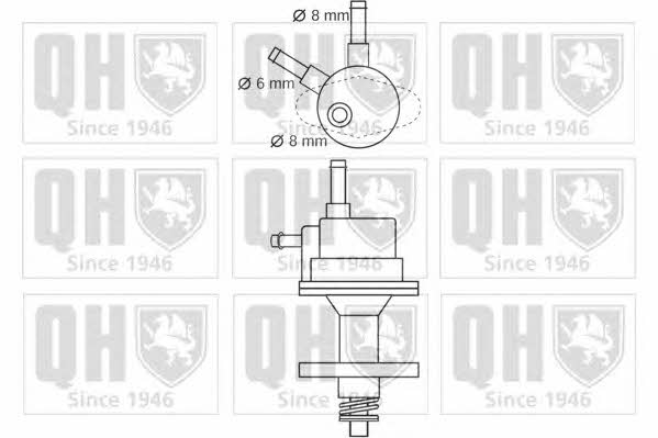 Quinton Hazell QFP165 Fuel pump QFP165