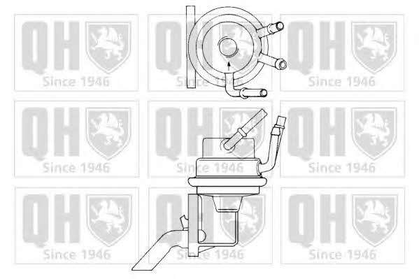 Quinton Hazell QFP294 Fuel pump QFP294