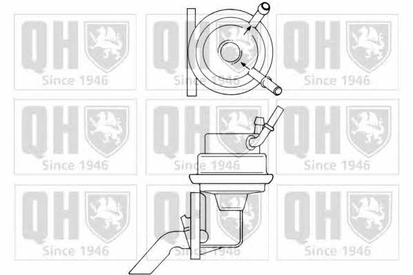 Quinton Hazell QFP295 Fuel pump QFP295
