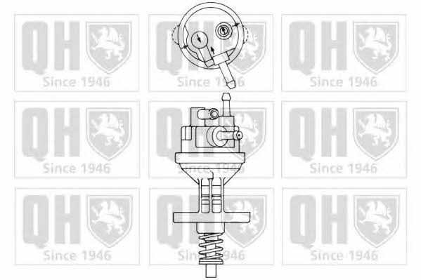 Quinton Hazell QFP300 Fuel pump QFP300