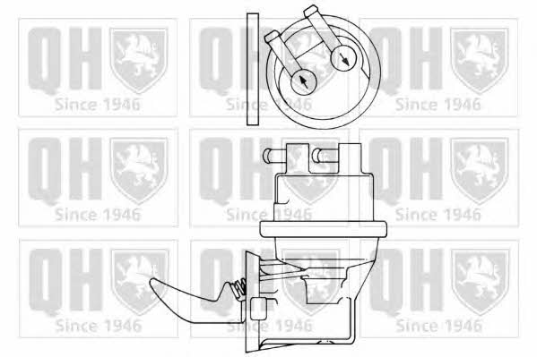 Quinton Hazell QFP301 Fuel pump QFP301