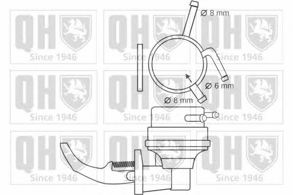 Quinton Hazell QFP303 Fuel pump QFP303