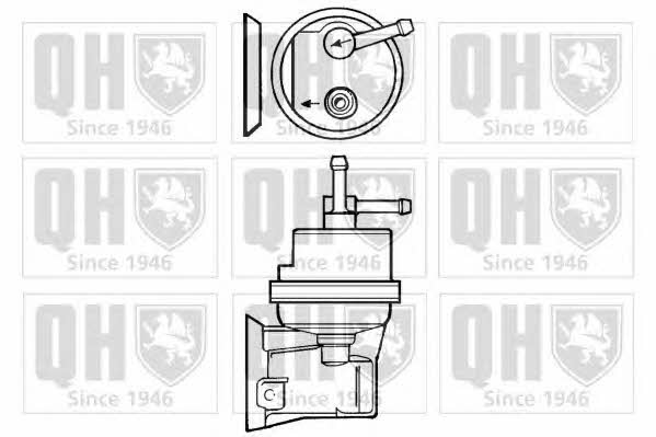 Quinton Hazell QFP306 Fuel pump QFP306
