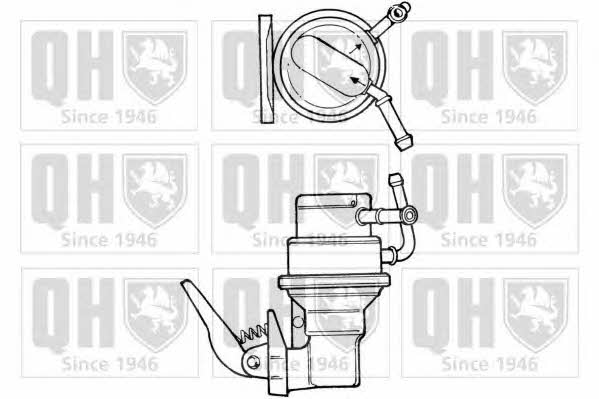 Quinton Hazell QFP308 Fuel pump QFP308