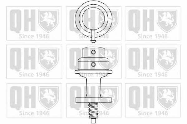 Quinton Hazell QFP313 Fuel pump QFP313