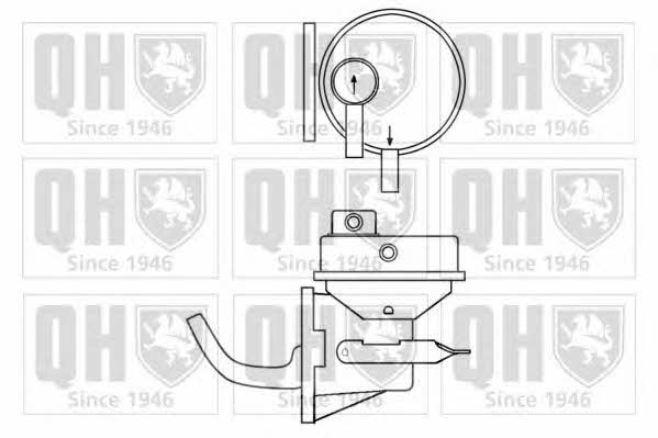 Quinton Hazell QFP314 Fuel pump QFP314