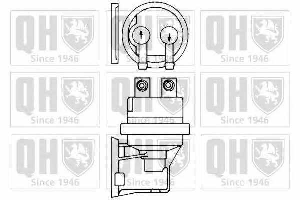 Quinton Hazell QFP511 Fuel pump QFP511